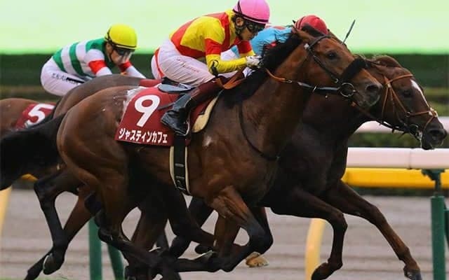 【東京新聞杯・馬体重】ジャスティンカフェは502kg(+4)、ナミュールは448kg(0)