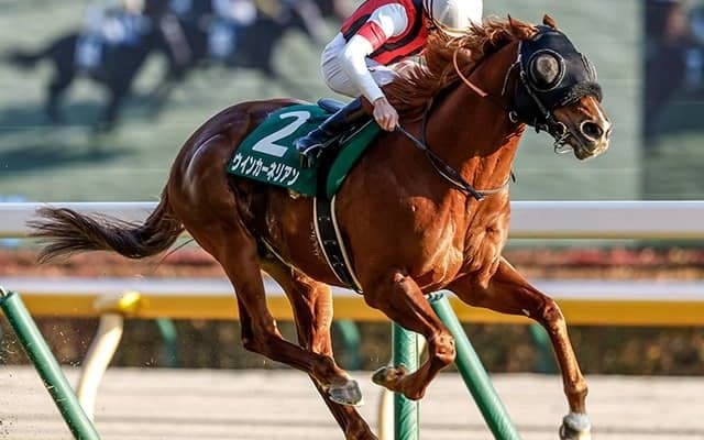 【東京新聞杯結果】逃げたウインカーネリアンがナミュールらの追撃を振り切り重賞2勝目