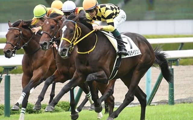 2月5日の競走中止、出来事一覧 ノーブルライジングが左後肢跛行を発症/東京・中京・小倉