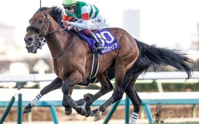 【京都記念】エフフォーリア、ドウデュースらが登録