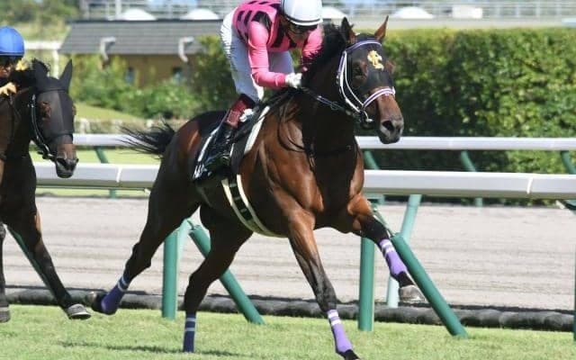 【共同通信杯】ファントムシーフ、レイベリングらが登録