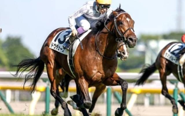 京都記念でドウデュース始動 GI登竜門の共同通信杯とクイーンC/今週の競馬界の見どころ