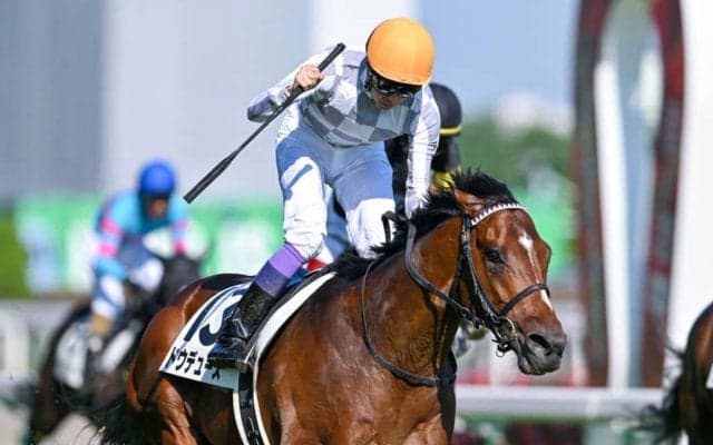 【京都記念登録馬】ドウデュースなど13頭