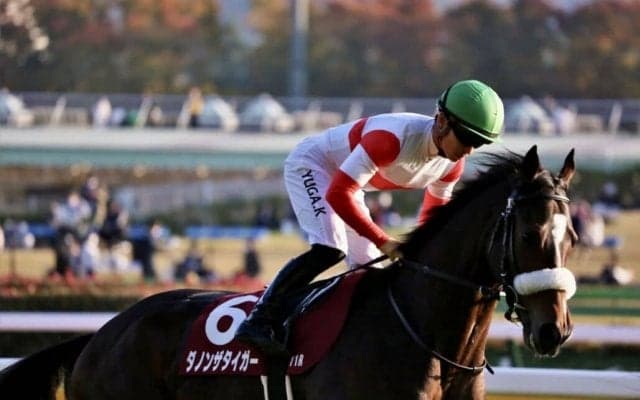 【共同通信杯登録馬】ダノンザタイガーなど13頭