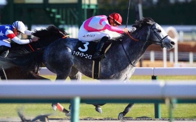 【令月S】ムルザバエフ騎乗 ケイアイターコイズが人気に応える