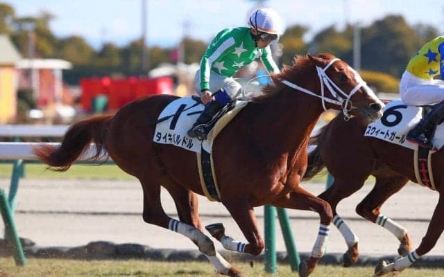 【新馬/中京6R】ダイワメジャー産駒 タイキバルドルが人気に応える