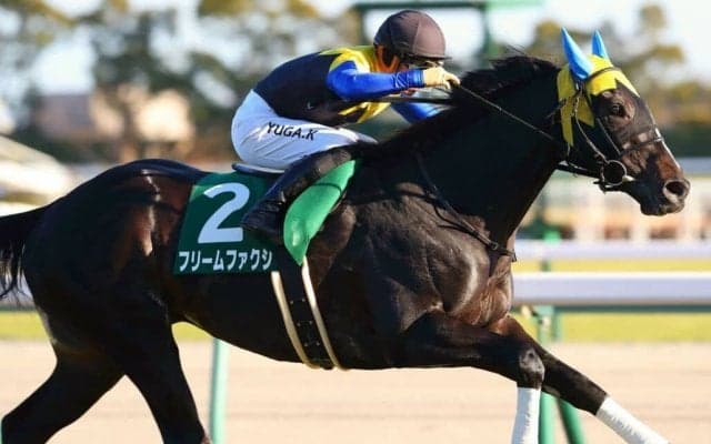 【きさらぎ賞】川田「ひとつホッとしたという思いです」フリームファクシが重賞初制覇