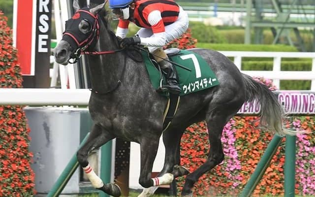 【AI予想・京都記念】鬼門コースで完全復活!? クラシック好走の伏兵が再び波乱の立役者へ