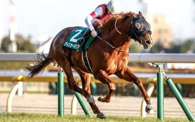 スクリーンヒーロー産駒はコンスタントに重賞ウイナー輩出