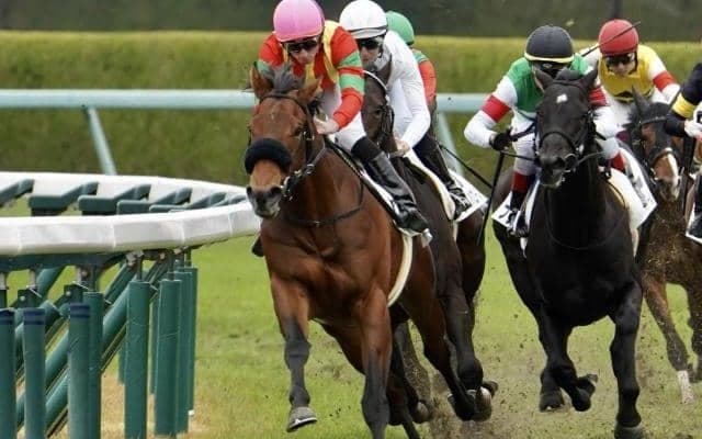 クラシックタイトルを意識させる大器 共同通信杯で父の無念晴らす