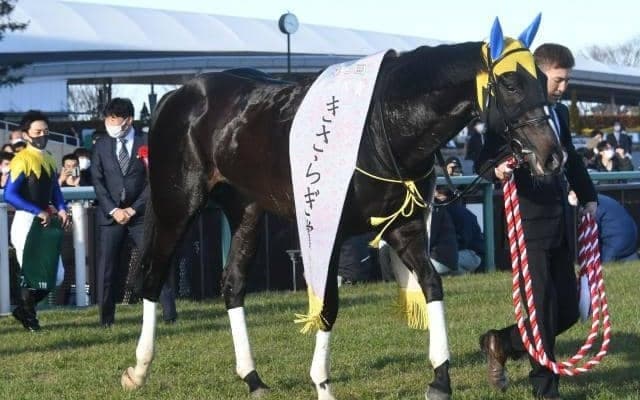 ルーラーシップ産駒は現3歳世代の層が厚い