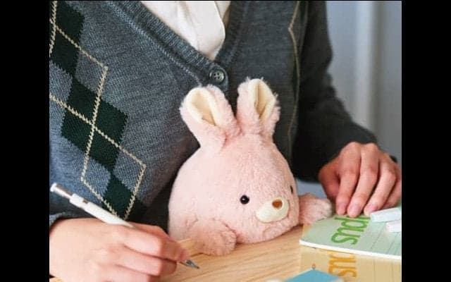 【猫背予防に】このモフモフを…机とおなかの間に挟むのです…