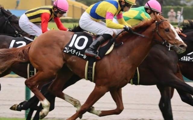【共同通信杯】冬に走る血統のコレペティトール 兄キングオブドラゴンともども穴党の味方になる！