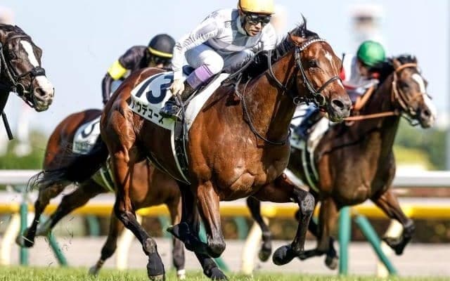 【京都記念予想オッズ】ドウデュースが予想1番人気