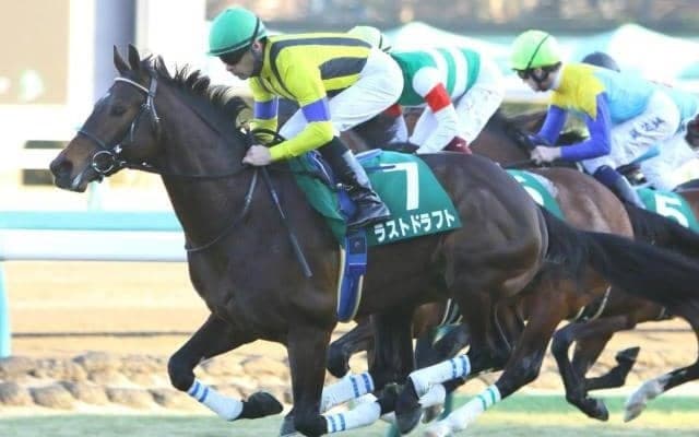 元クラシック候補の古豪が阪神初見参 母の思い出の地で復活なるか