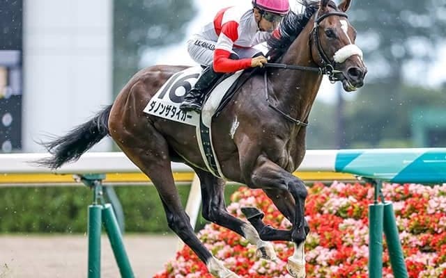 米G1馬を母に持つ2億9700万円馬が共同通信杯に登場 東京1800mに不安なし