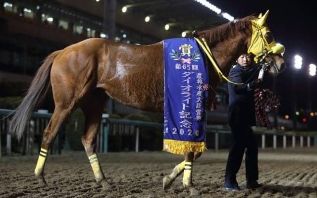 【船橋・報知グランプリC注目馬】春の大舞台に向けた始動戦 実績馬アナザートゥルース vs 船橋巧者ギガキング
