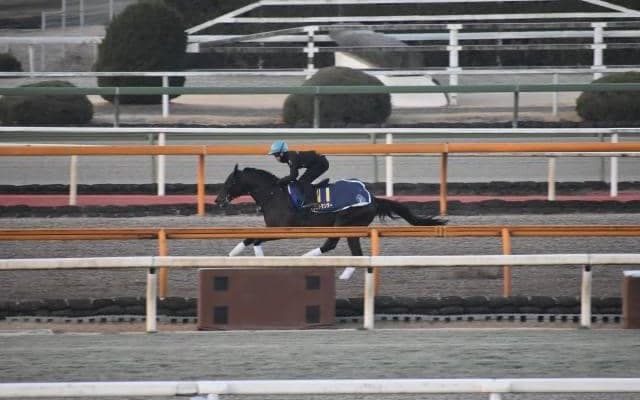 ソリストサンダー、フェブラリーS1週前追い切り速報/栗東トレセンニュース