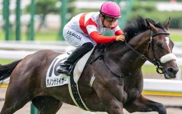 【共同通信杯】主役はダノンザタイガー！ 川田騎手＆国枝厩舎のコンビが重賞初V狙う