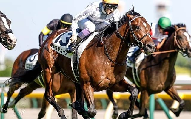 【京都記念】クラシック勝ち馬の激突は00年以降に9回！ その意外な結末とは