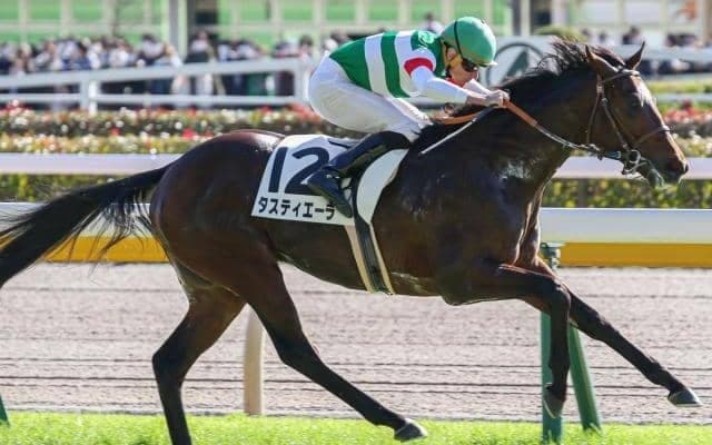 サトノクラウン産駒の“逸材” 父と同じく東京芝1800mで重賞初Vなるか