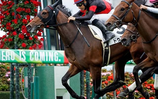 出遅れあっても上位食い込む末脚 世代トップクラス牝馬が重賞初制覇へ