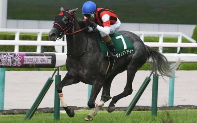 【京都記念予想】レースの傾向からも魅力十分 AIの注目馬は上位人気グループの一角