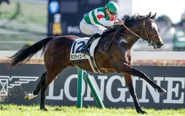 【共同通信杯展望】世代屈指の出世レースは「終いの切れ味」が勝負のカギ