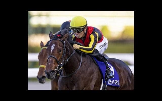 ３歳牝馬戦線がわかる識者選定ランキング。リバティアイランドの「１強」状態のままクラシックに突入するのか