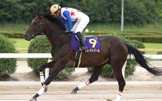 【佐賀記念注目馬】グレイトパールがラストラン 引退近い福永祐一騎手の手綱捌きにも注目