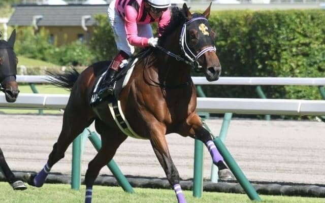 【共同通信杯出走馬・騎手確定】ダノンザタイガー＆川田将雅騎手、ファントムシーフ＆ルメール騎手など12頭