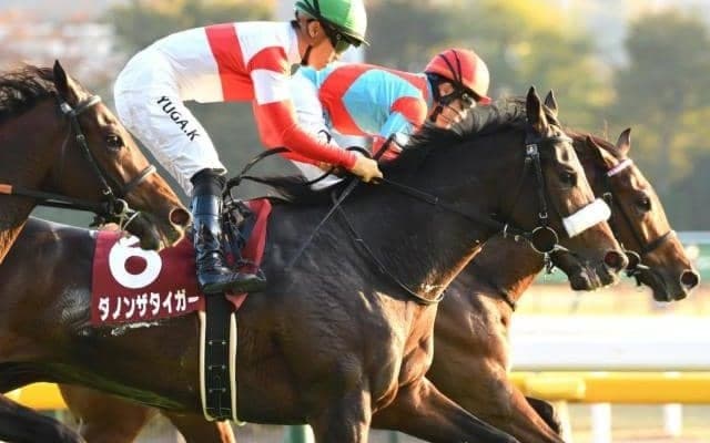 共同通信杯に3億円馬 “史上最高額”のJRA重賞ウイナー誕生か!?