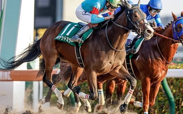 22年武蔵野S覇者のギルデッドミラーが登録抹消 今後はノーザンファームで繁殖入り