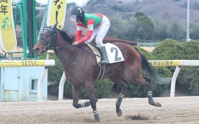 【佐賀・JRA交流グリーンC】今村聖奈騎乗 シャウラが7馬身差圧勝