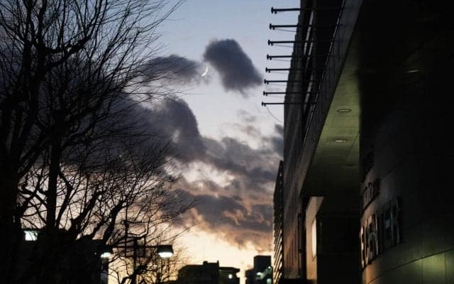 第806回　光をみつめた　執筆者・青木智哉