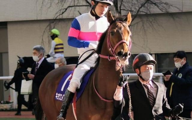 【共同通信杯】馬産地大注目のグレーターロンドン産駒が2頭エントリー！