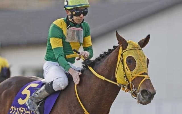 ドバイWCでウシュバテソーロが上位人気の一角に 日本馬で唯一の単勝10倍以下