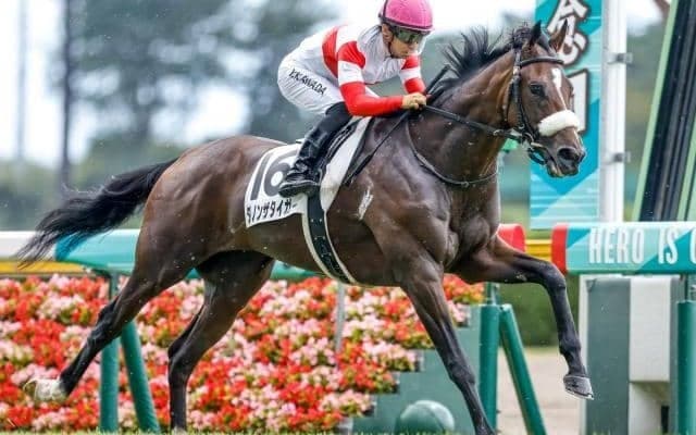 【共同通信杯枠順確定】ダノンザタイガーは1枠1番、ファントムシーフは6枠8番