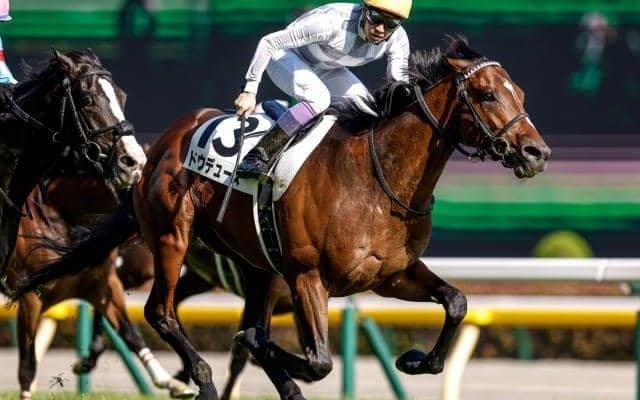 【京都記念枠順確定】ドウデュースは8枠12番、エフフォーリアは7枠10番