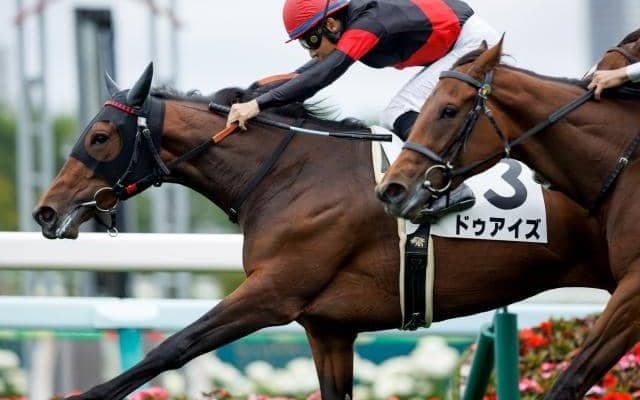 【クイーンC枠順確定】ドゥアイズは4枠7番、ウンブライルは8枠15番