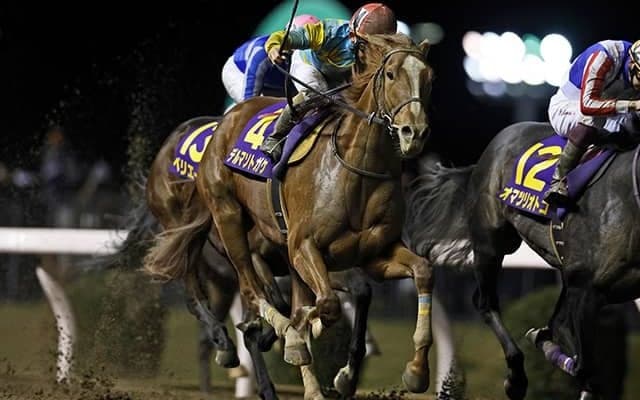 アメリカ三冠競走に日本馬35頭が予備登録 昨年の2歳ダート王や『ウマ娘』藤田オーナー愛馬の名も