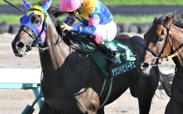 【洛陽S】サウンドビバーチェに展開利あり まんまと逃げ切るぞ