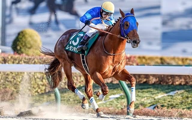 【ドバイGS】レモンポップやレッドルゼルなど39頭予備登録