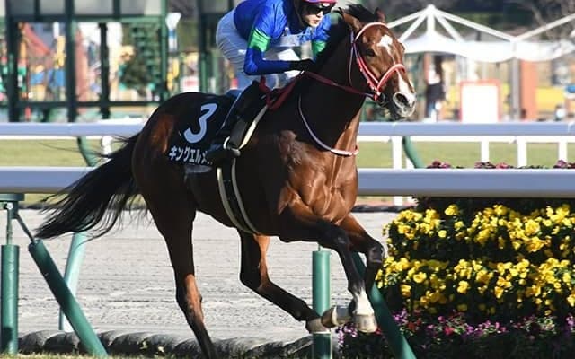 【アルクオーツSP】キングエルメスやサブライムアンセムなど19頭が予備登録