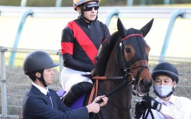 【今日の注目ポイント】東京で牝馬の出世レース・クイーンC