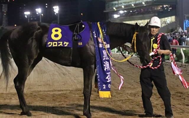 【地方競馬】多くのファンに愛されたクロスケが引退 柏木師「ここまでよく頑張ってくれました」
