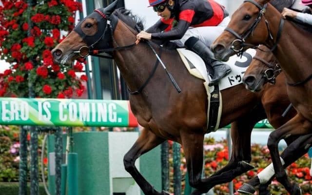 【クイーンC予想】GI馬への登竜門は人気サイドでの決着多く