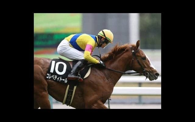 共同通信杯で波乱が多いことは過去データが証明。そこから導き出された穴馬候補は４頭