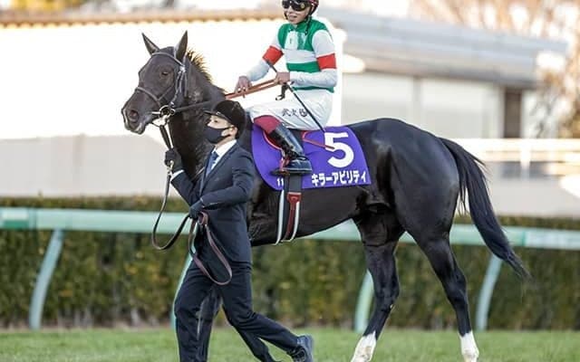 【京都記念予想】ドウデュースに黄色信号!? 得意コースで「一発」見込める勝ち負け期待の穴馬とは