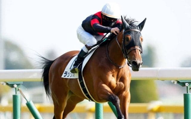 【新馬/東京6R】ハービンジャー産駒 ラッジオがデビューV